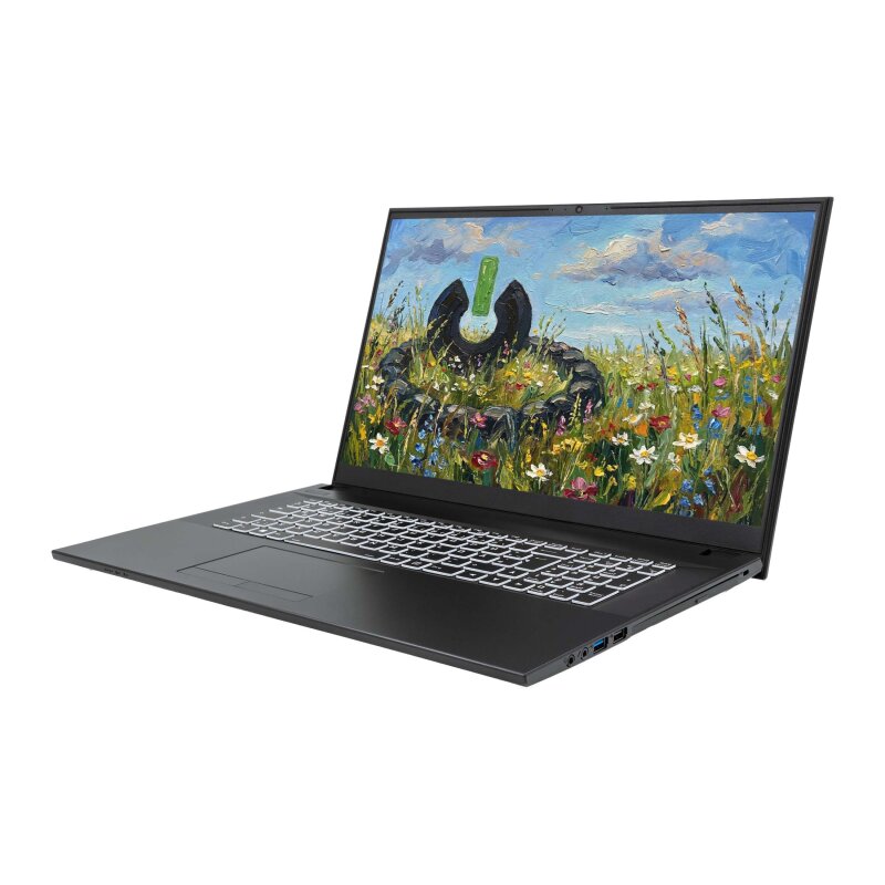 JodaBook C17 Pure | 17,3" Full-HD | Intel®...
