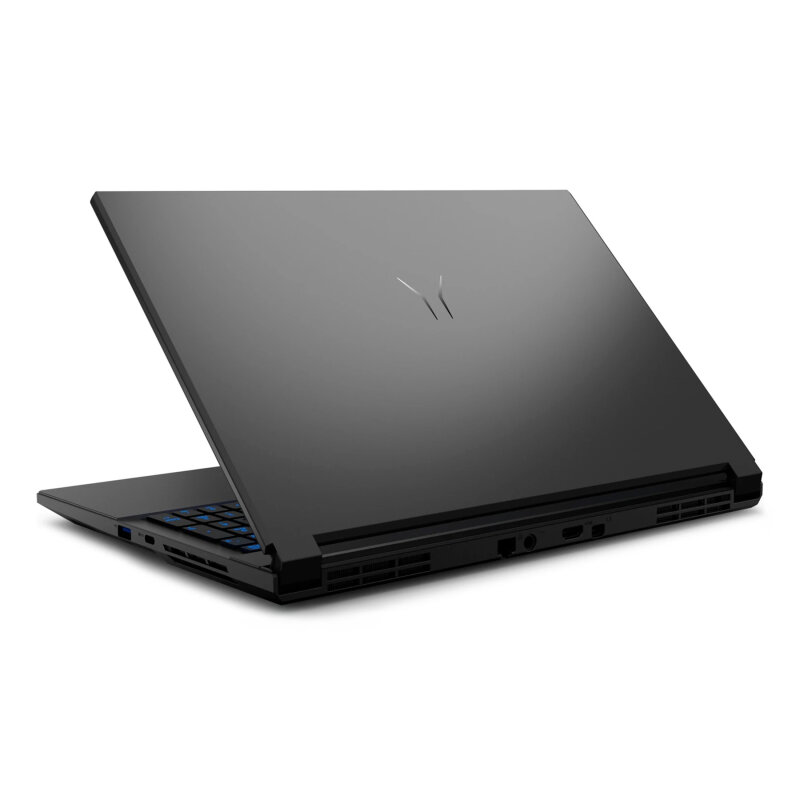 Medion Erazer Deputy 15 P1 | 15,6" Full-HD 144 Hz| Intel® Core™ 5 210H | GeForce RTX™ 5060